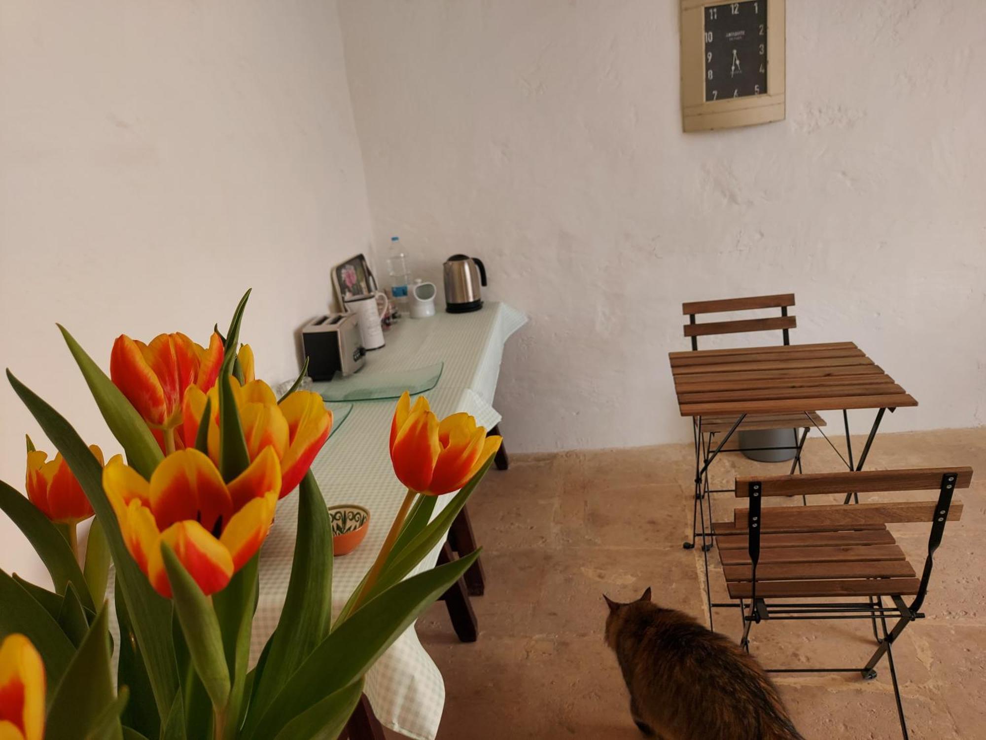 Razzett Warda B&B Għasri Екстериор снимка